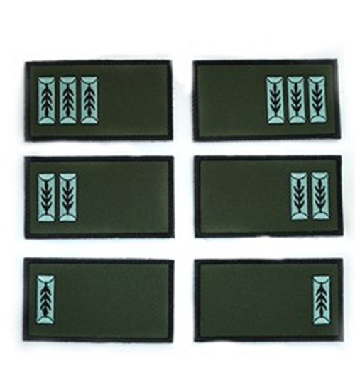 דרגות טקטיות קצינים/נגדים