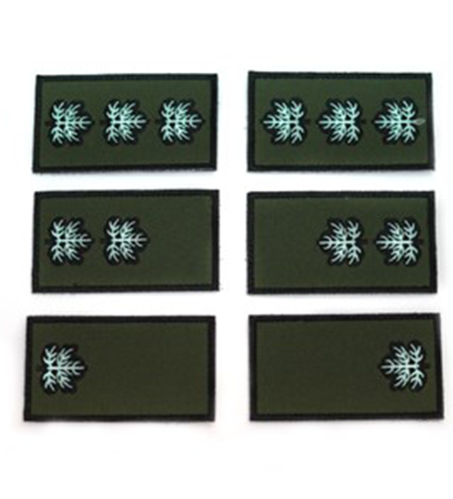 דרגות טקטיות קצינים/נגדים